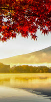 Japan's Mount Fuji Wall Art