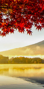 Japan's Mount Fuji Wall Art