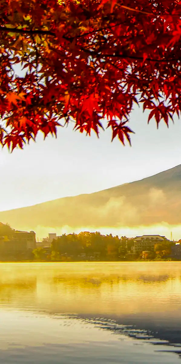 Japan's Mount Fuji Wall Art