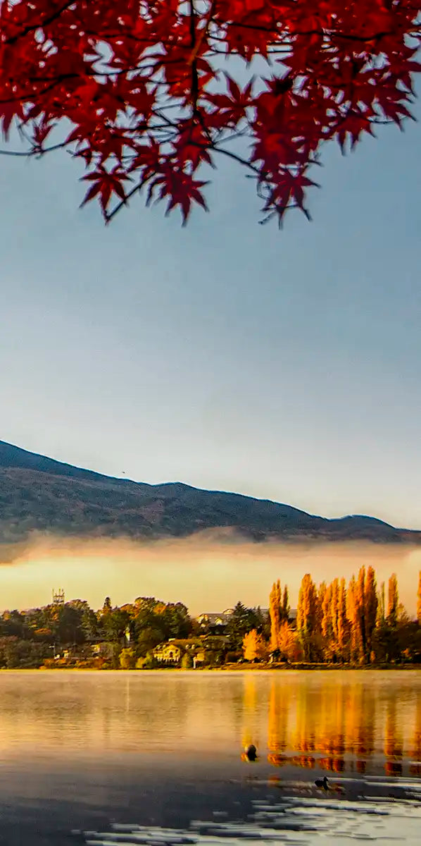 Japan's Mount Fuji Wall Art