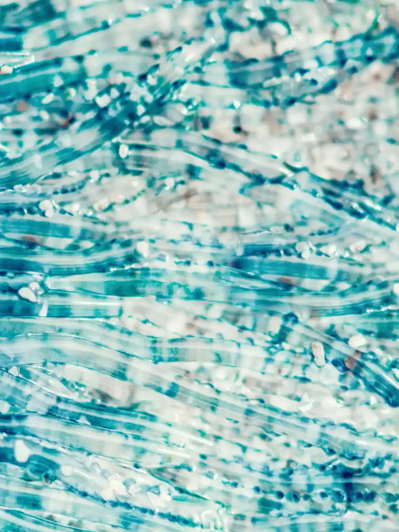 Jellyfish Details Wall Art