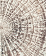 Jellyfish Details Wall Art