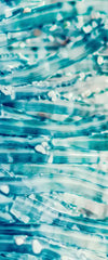Jellyfish Details Wall Art