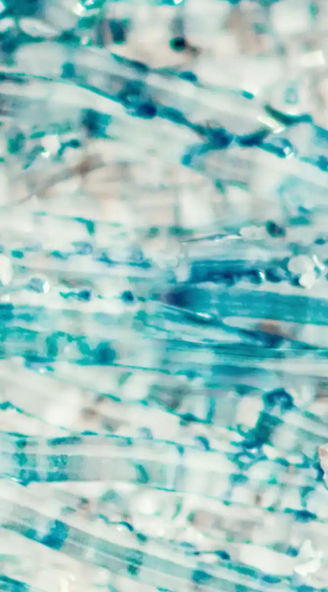 Jellyfish Details Wall Art