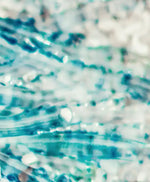 Jellyfish Details Wall Art