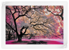 Pink Bloom Claw Trees Wall Art