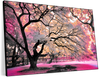 Pink Bloom Claw Trees Wall Art