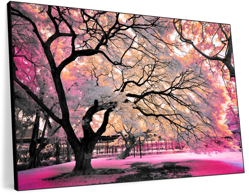 Pink Bloom Claw Trees Wall Art