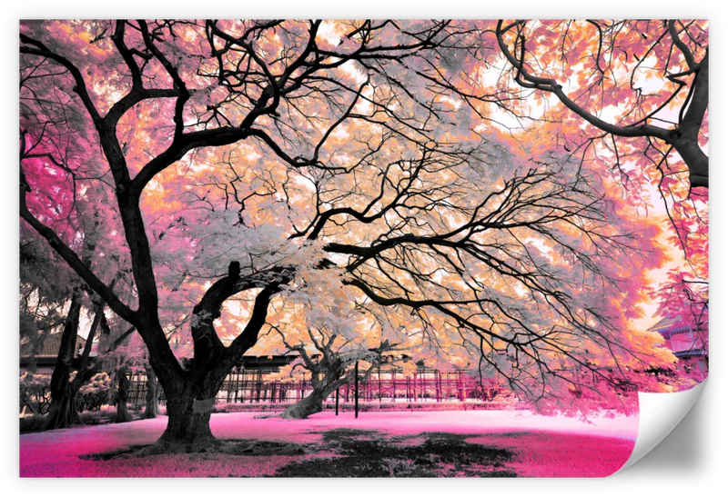 Pink Bloom Claw Trees Wall Art
