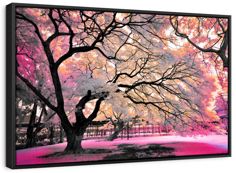 Pink Bloom Claw Trees Wall Art