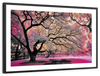 Pink Bloom Claw Trees Wall Art