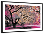 Pink Bloom Claw Trees Wall Art