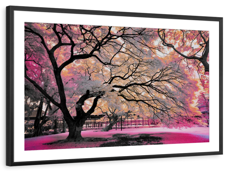 Pink Bloom Claw Trees Wall Art