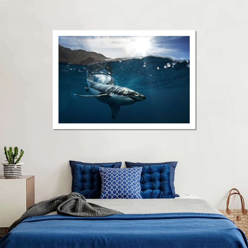 Shark Sunshine Wall Art