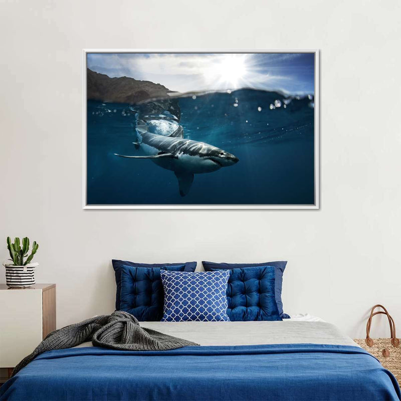 Shark Sunshine Wall Art
