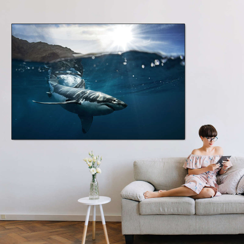 Shark Sunshine Wall Art