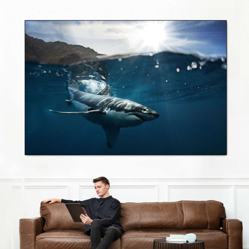 Shark Sunshine Wall Art
