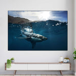 Shark Sunshine Wall Art