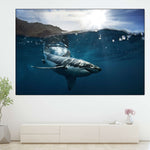Shark Sunshine Wall Art