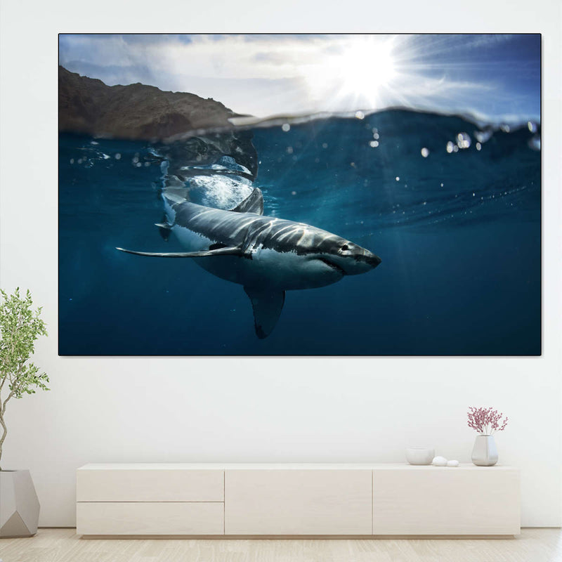Shark Sunshine Wall Art