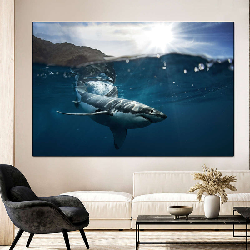 Shark Sunshine Wall Art
