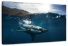 Shark Sunshine Wall Art