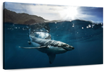 Shark Sunshine Wall Art