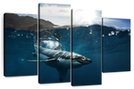 Shark Sunshine Wall Art