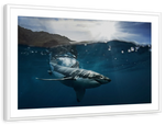 Shark Sunshine Wall Art