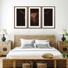 Handsome Highland Cow Wall Art