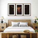 Handsome Highland Cow Wall Art