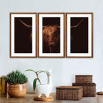 Handsome Highland Cow Wall Art