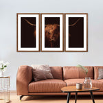 Handsome Highland Cow Wall Art