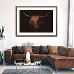 Handsome Highland Cow Wall Art