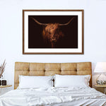 Handsome Highland Cow Wall Art