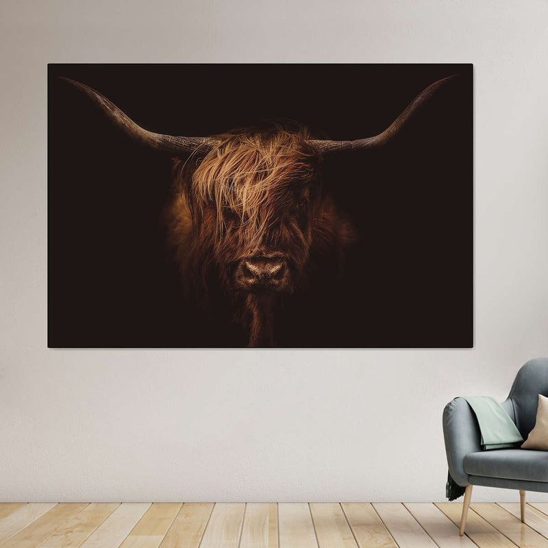 Handsome Highland Cow Wall Art