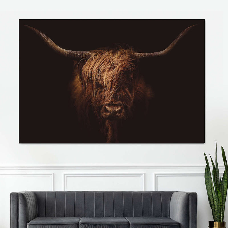 Handsome Highland Cow Wall Art