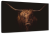 Handsome Highland Cow Wall Art