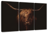 Handsome Highland Cow Wall Art