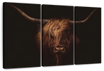 Handsome Highland Cow Wall Art