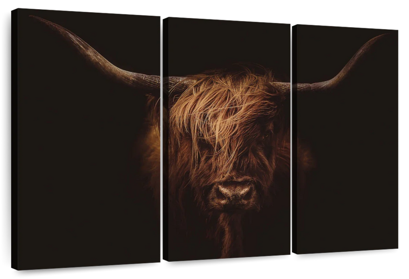 Handsome Highland Cow Wall Art