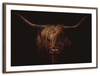 Handsome Highland Cow Wall Art