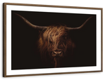 Handsome Highland Cow Wall Art