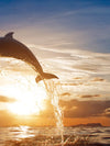 Jumping Dolphin Wall Art