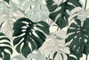 Jungle Monstera Leaves Wall Art