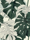 Jungle Monstera Leaves Wall Art