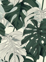 Jungle Monstera Leaves Wall Art