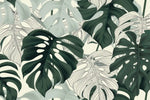 Jungle Monstera Leaves Wall Art