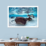 Stingrays Sea Life Wall Art