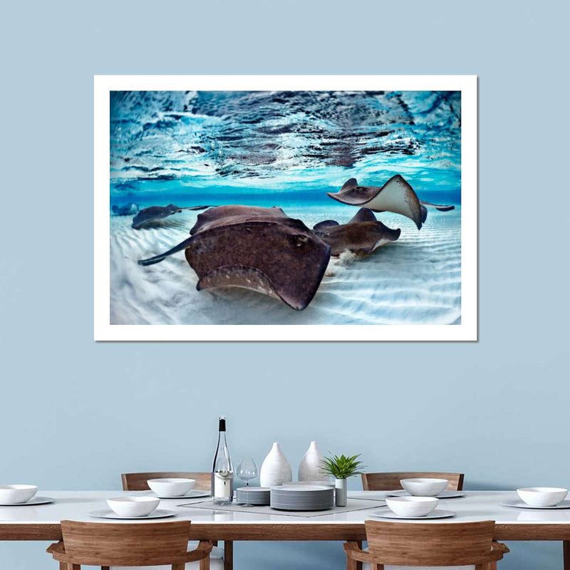 Stingrays Sea Life Wall Art